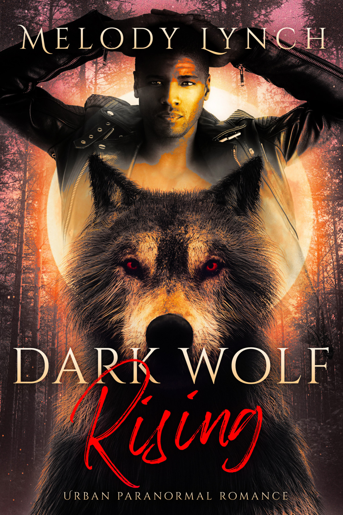 Dark Wolf Rising Urban Paranormal Romance African American Urban Shifters Book 3 Melody Lynch
