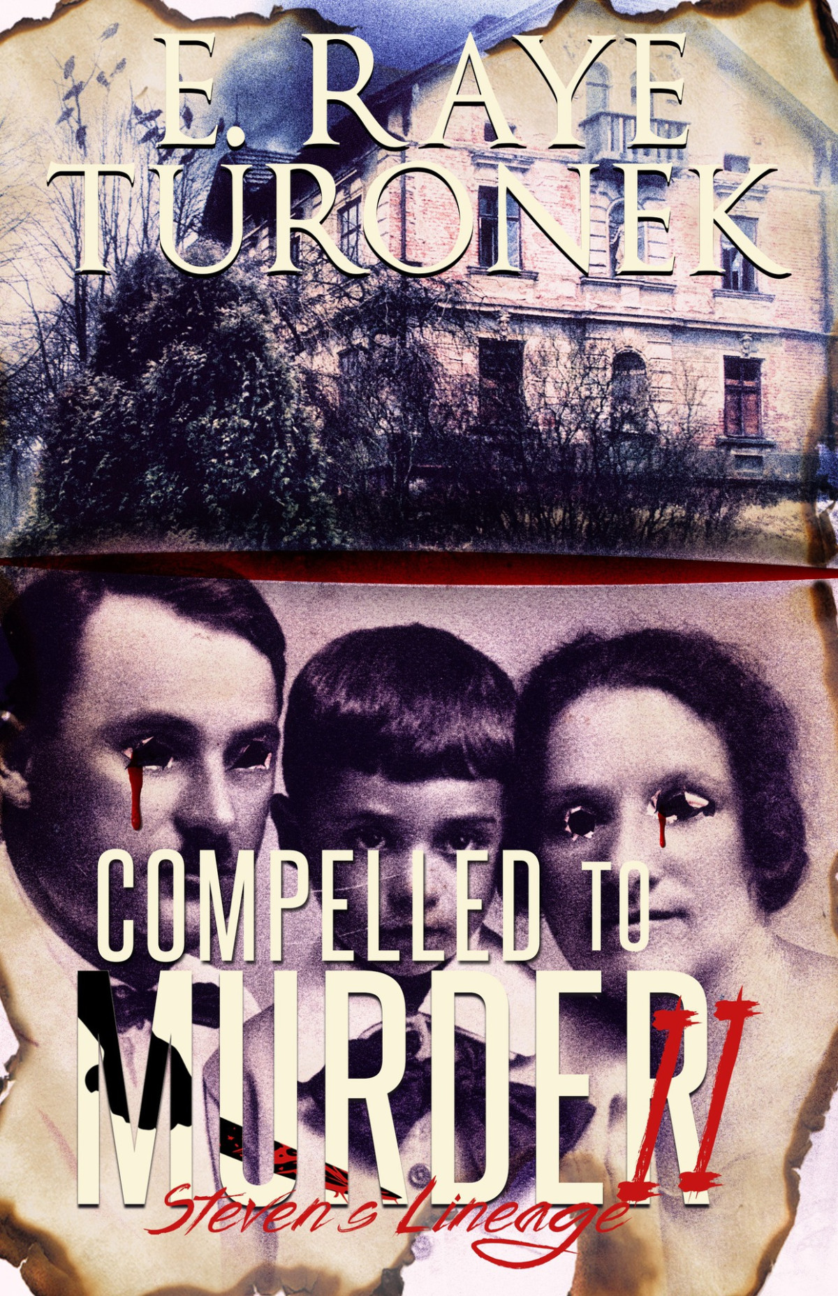 Compelled To Murder Ii Stevens Lineage E Raye Turonek