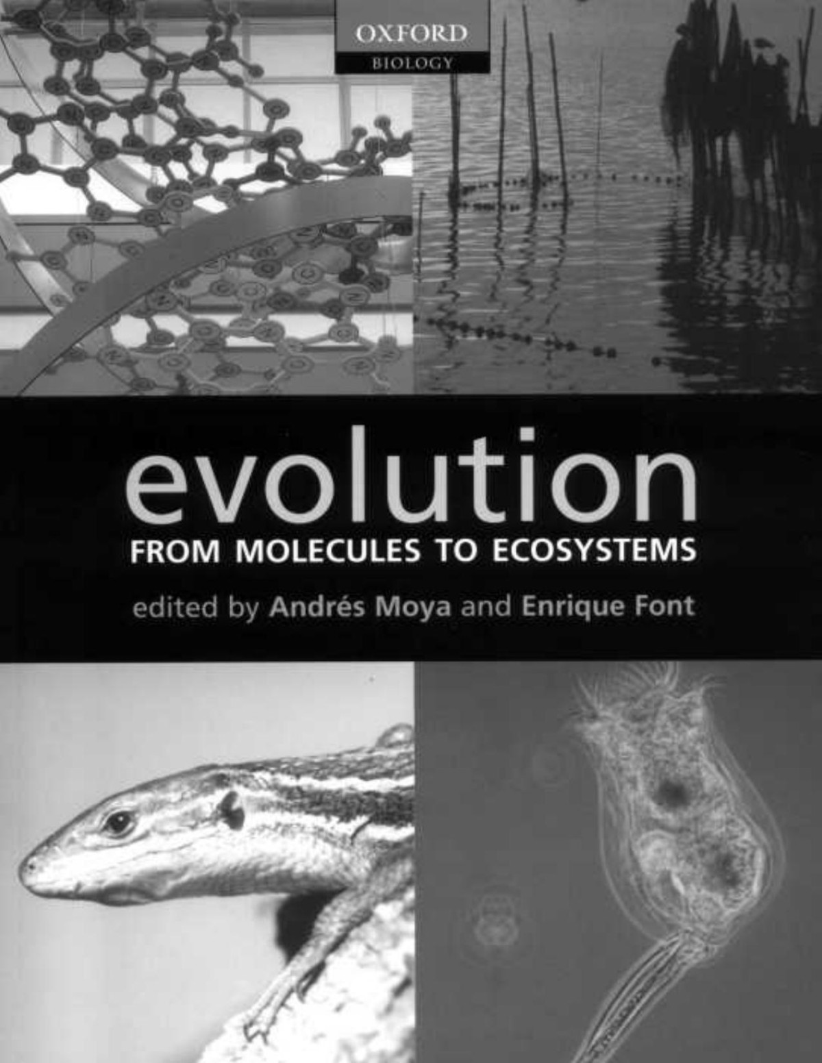 Evolution From Molecules To Ecosystems Illustrated Andrés Moya