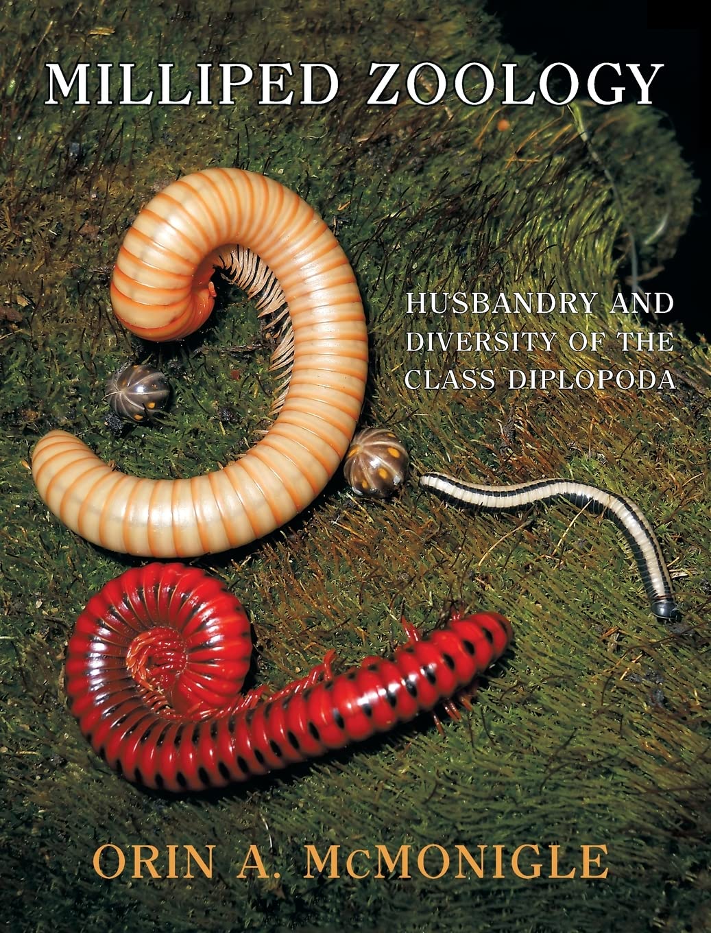 Milliped Zoology Husbandry And Diversity Of The Class Diplopoda Orin A Mcmonigle