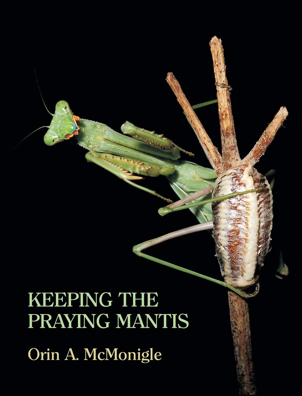 Keeping The Praying Mantis Orin Mcmonigle