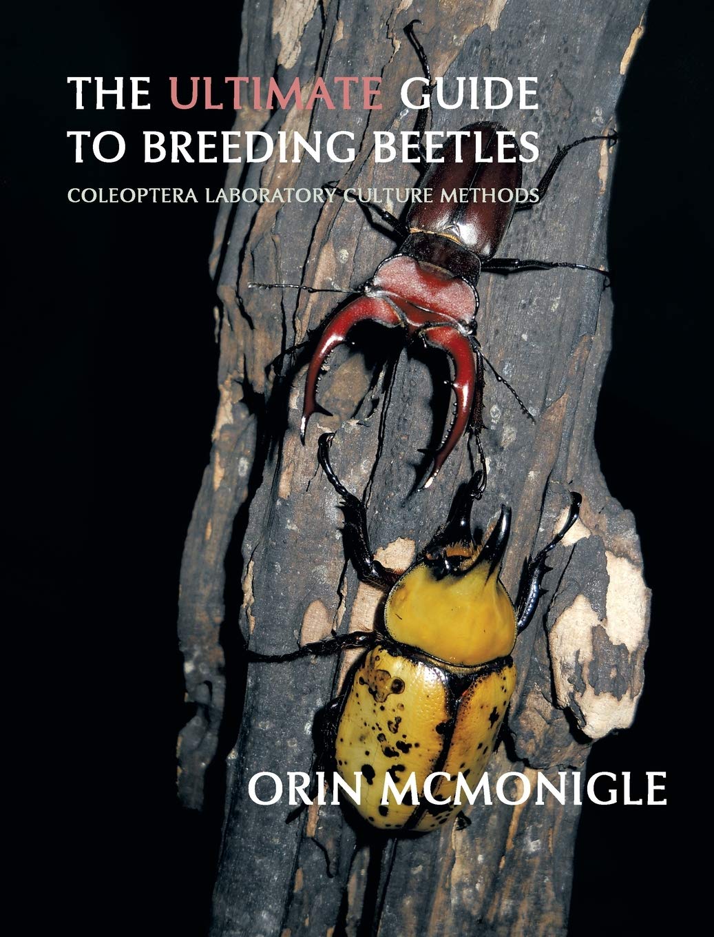 The Ultimate Guide To Breeding Beetles Orin Mcmonigle