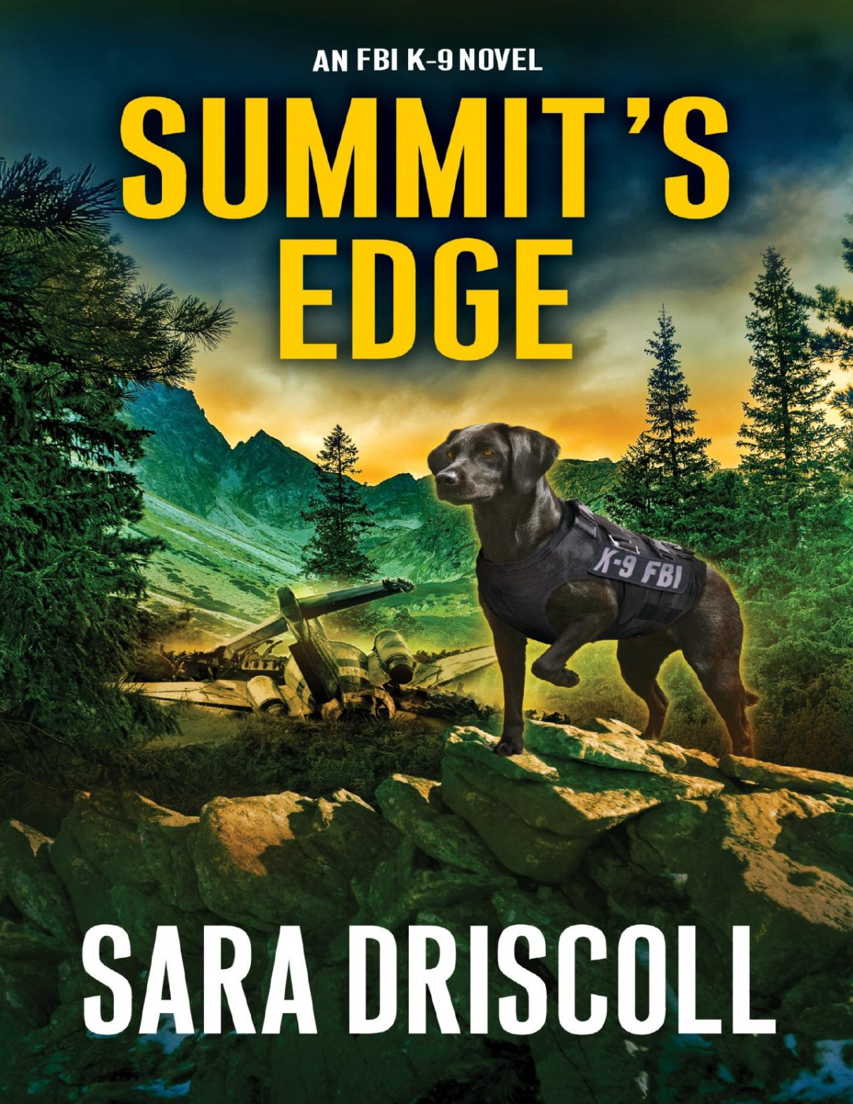 Summits Edge Sara Driscoll