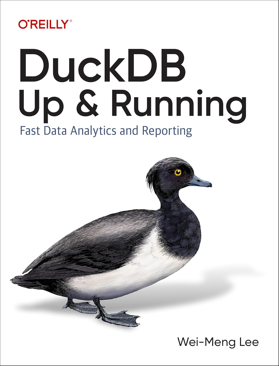 Duckdb Up Running Weimeng Lee