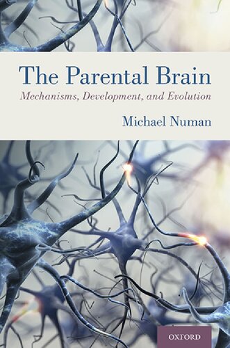The Parental Brain Mechanisms Development And Evolution 1st Edition Michael Numan