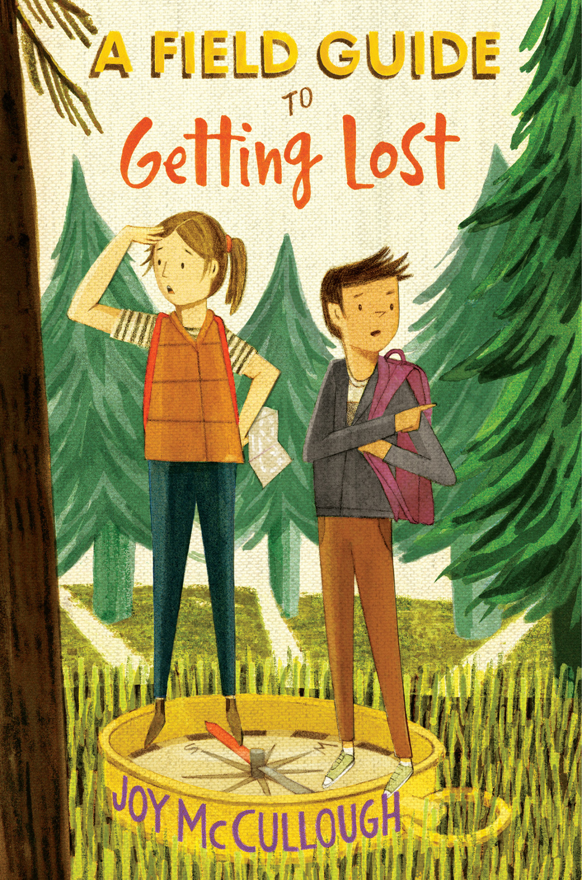 A Field Guide To Getting Lost Joy Mccullough