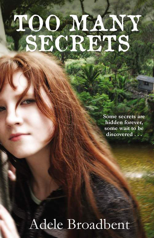 Too Many Secrets Broadbent Adele