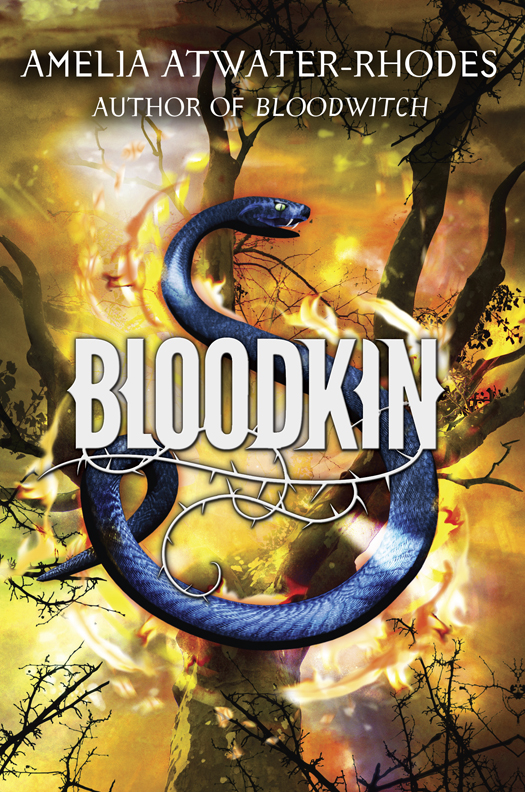 The Maevera Trilogy 02 Bloodkin Atwaterrhodes Amelia