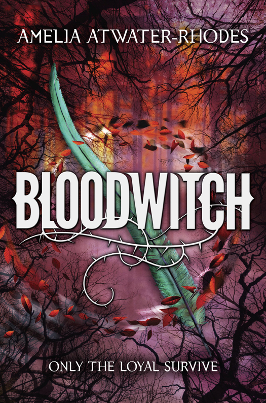The Maevera Trilogy 01 Bloodwitch Atwaterrhodes Amelia