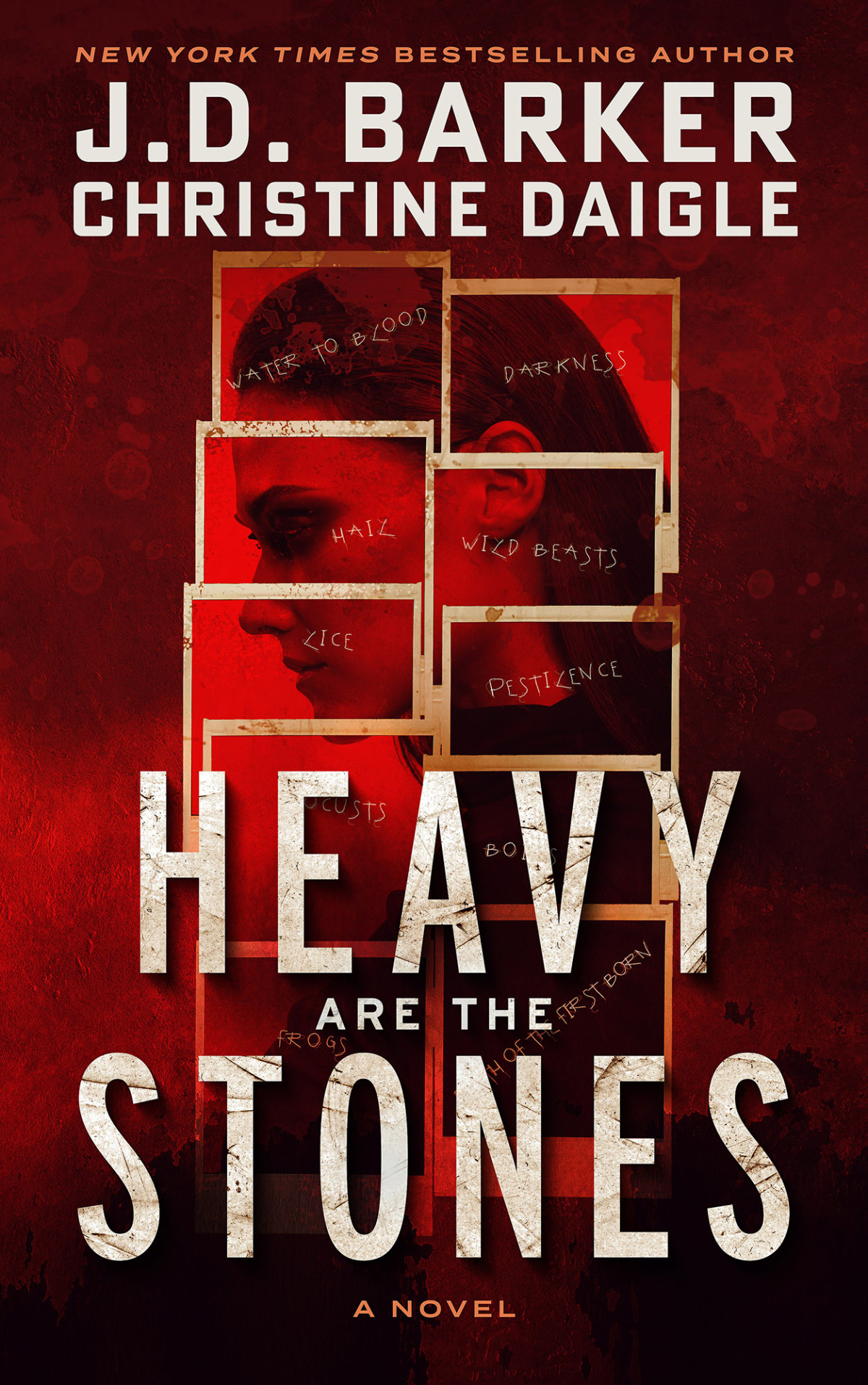 Heavy Are The Stones Jd Barker Christine Daigle
