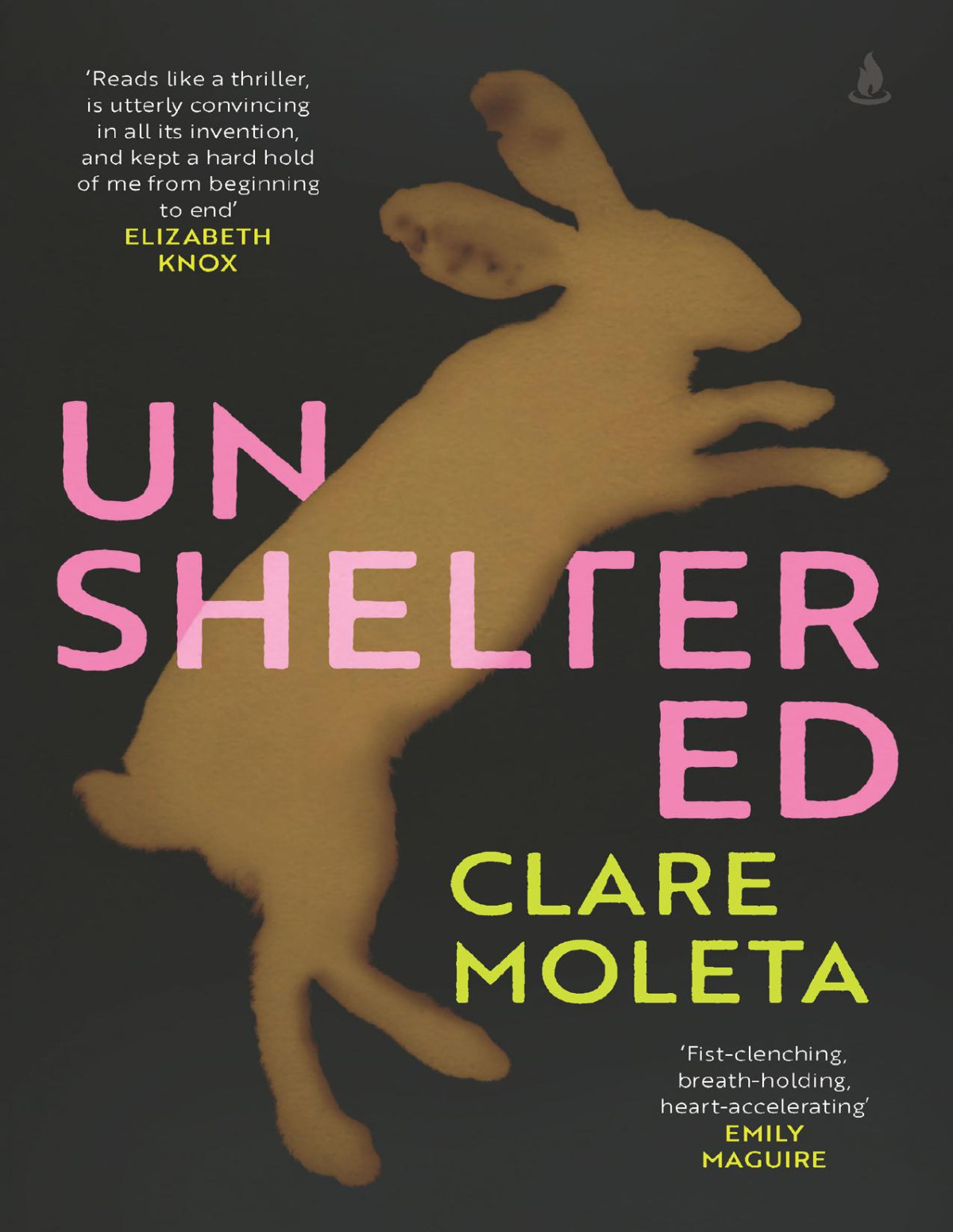 Unsheltered Clare Moleta