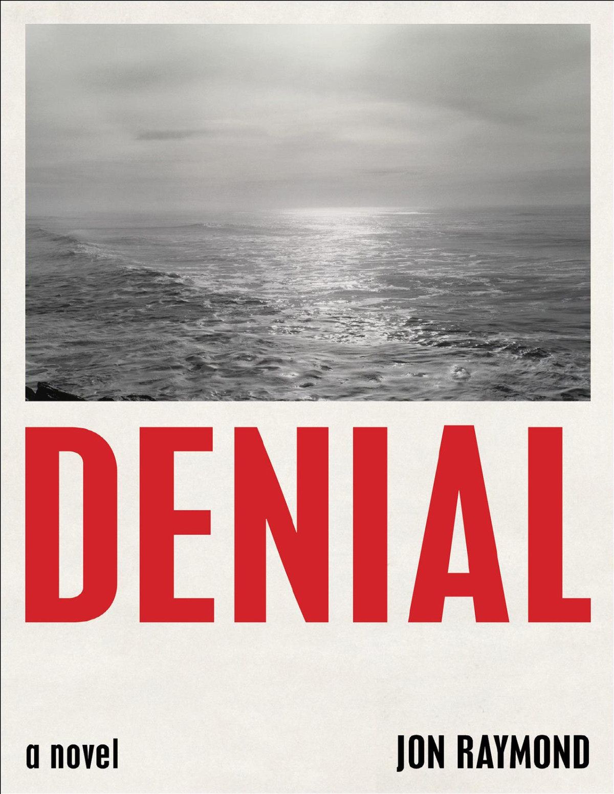 Denial A Novel Jon Raymond