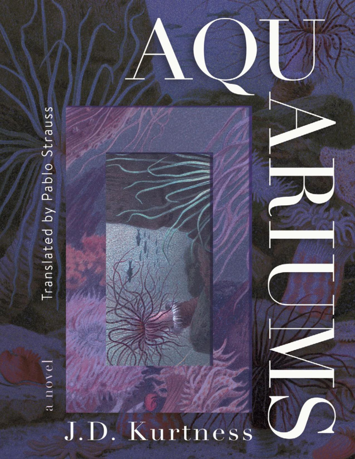 Aquariums Jd Kurtness