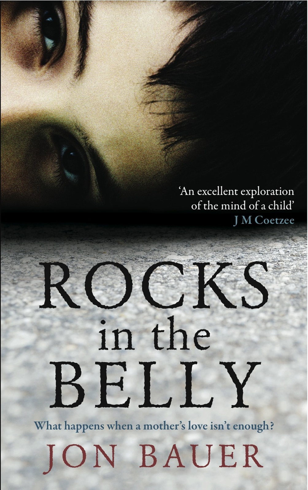 Rocks In The Belly Bauer Jon