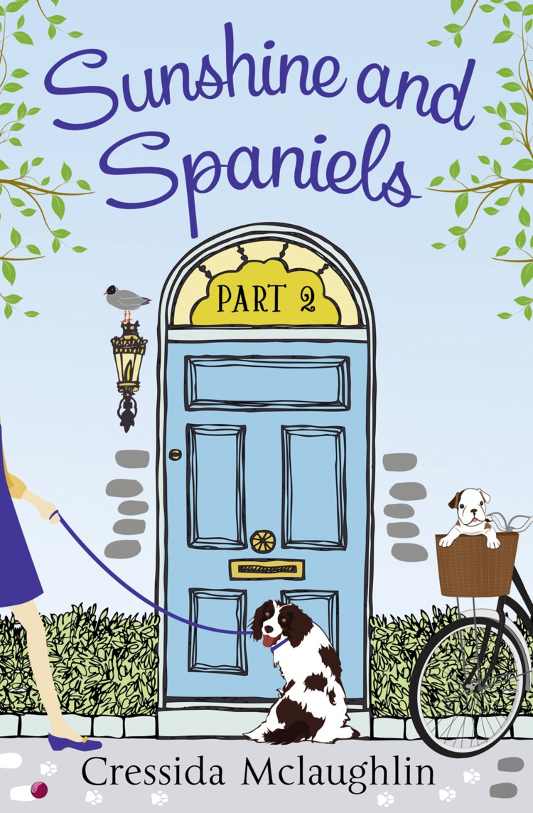 Primrose Terrace Series 02 Sunshine And Spaniels Mclaughlin