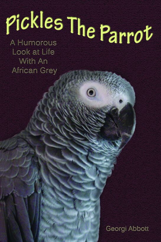 Pickles 01 Parrot A Humorous Look At Life With An African Grey Abbott