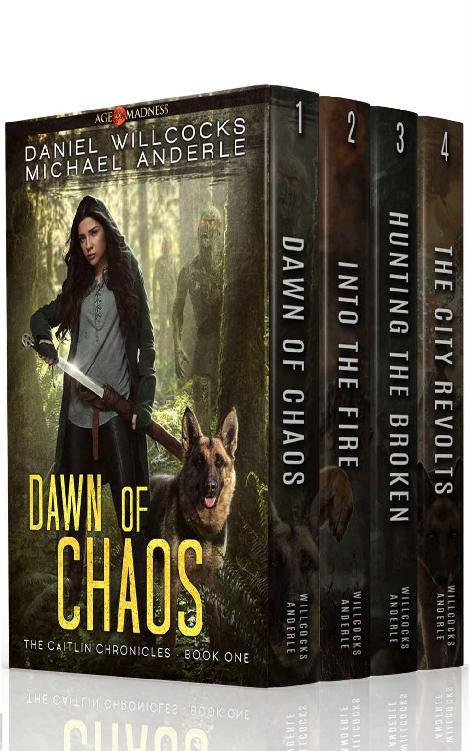 The Caitlin Chronicles 14 Boxed Set Anderle Michael