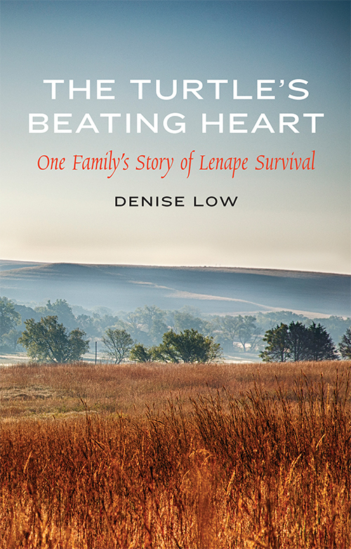 The Turtles Beating Heart Low Denise