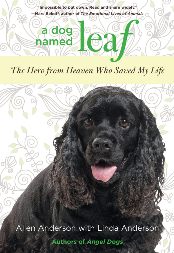 A Dog Named Leaf 01 A Dog Named Leaf The Hero From Heaven Who Saved My Life Anderson