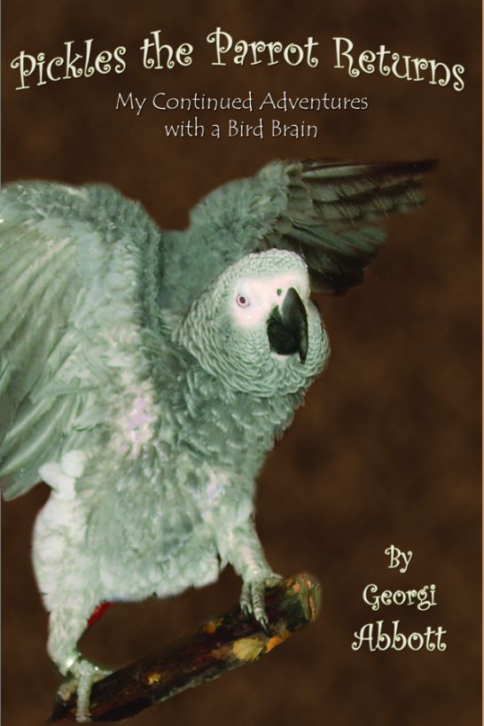 Pickles 02 Parrot Returns My Continued Adventures With A Bird Brain Abbott