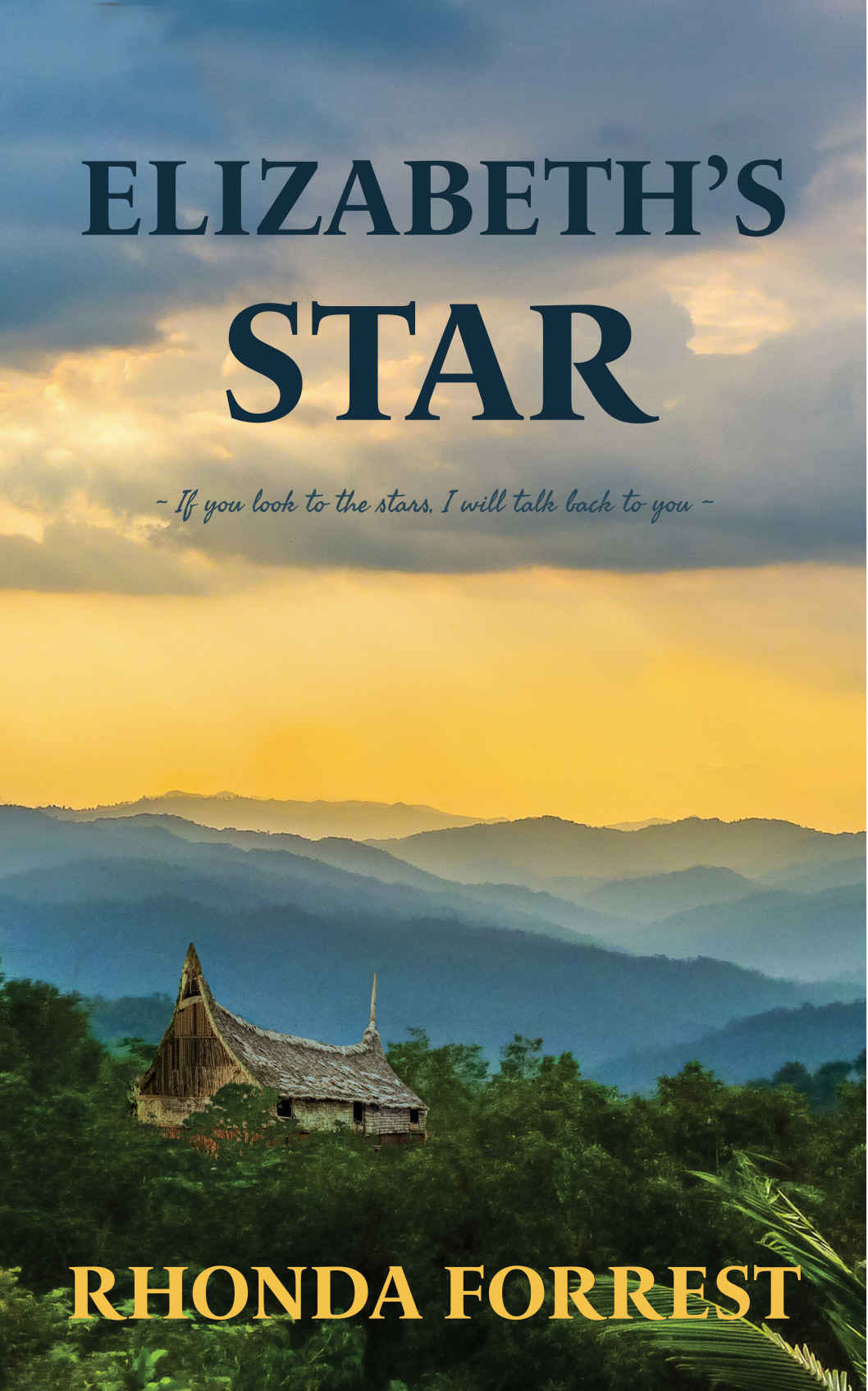 Elizabeths Star Book 1 Well Meet Again Series Forrest
