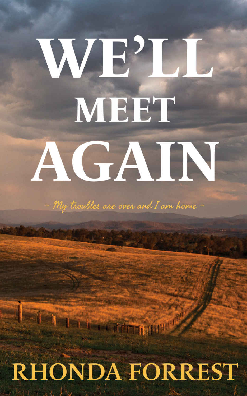 Well Meet Again Book 3 Well Meet Again Series Forrest