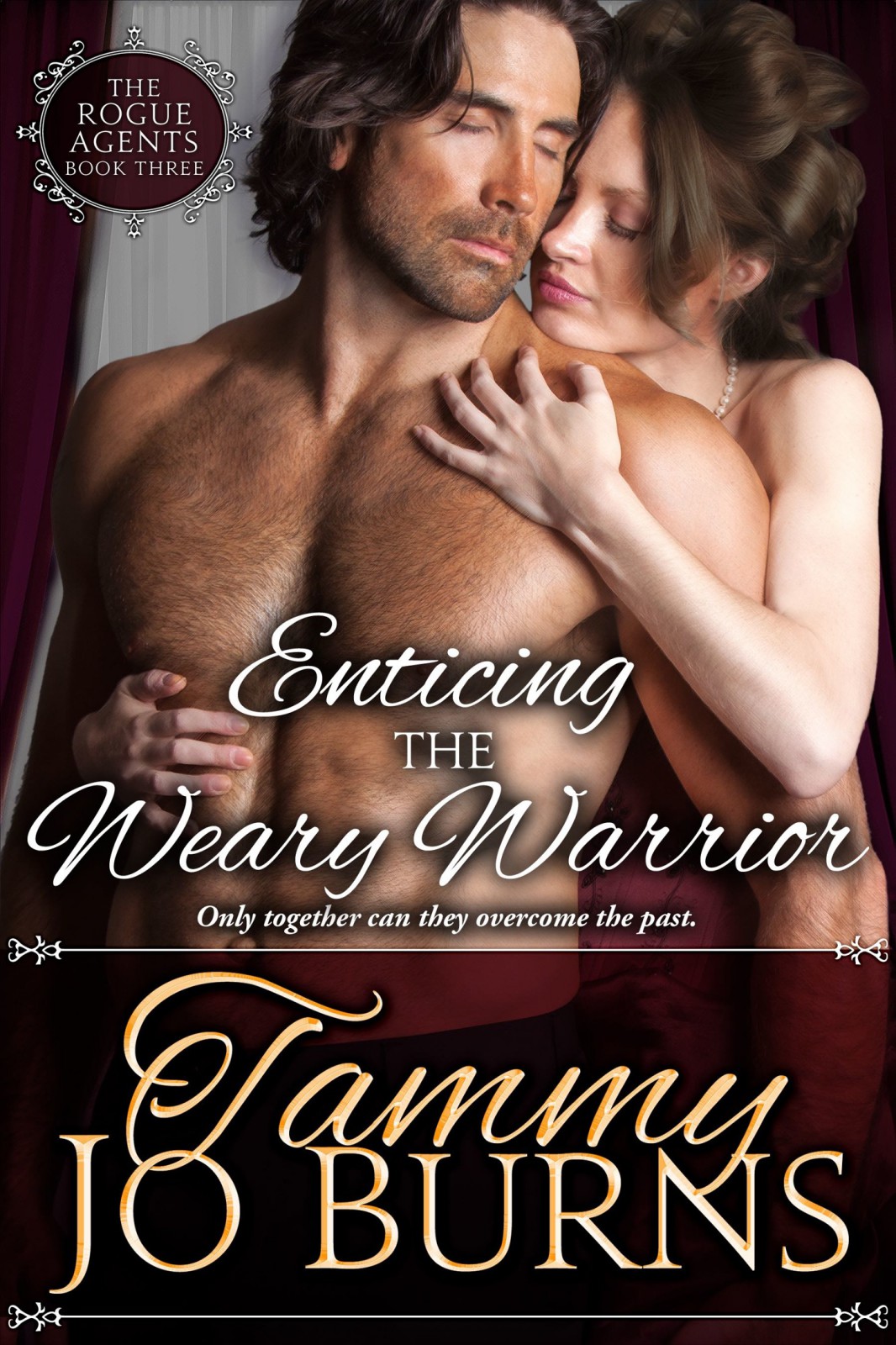 Enticing The Weary Warrior Tammy Jo Burns