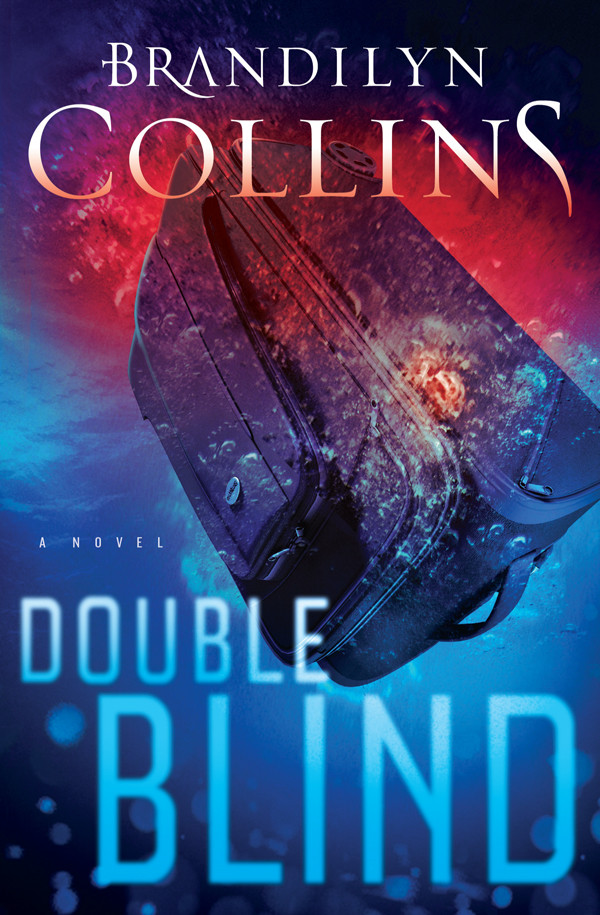 Double Blind Collins Brandilyn