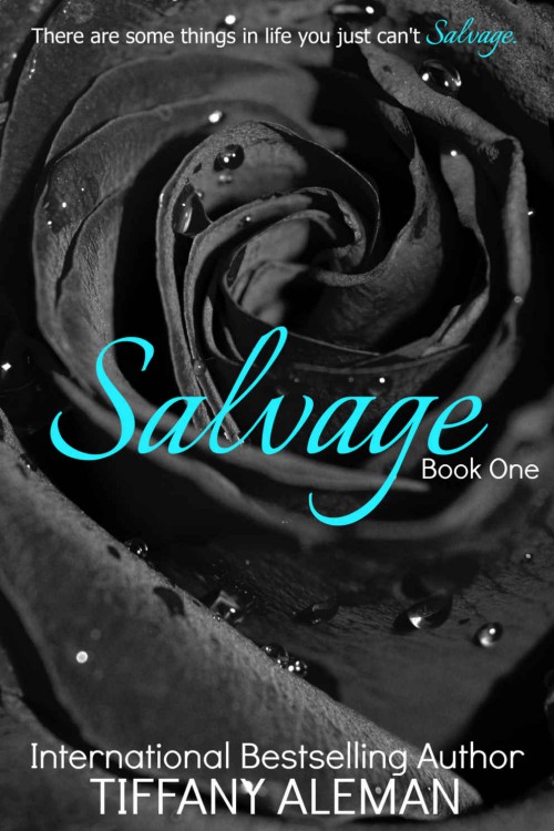 Salvage Duet 01 Salvage Aleman Tiffany