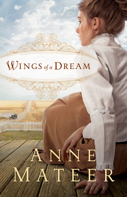 Wings Of A Dream Mateer Anne
