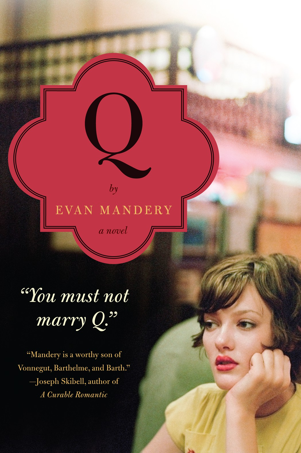 Q A Novel Mandery Evan