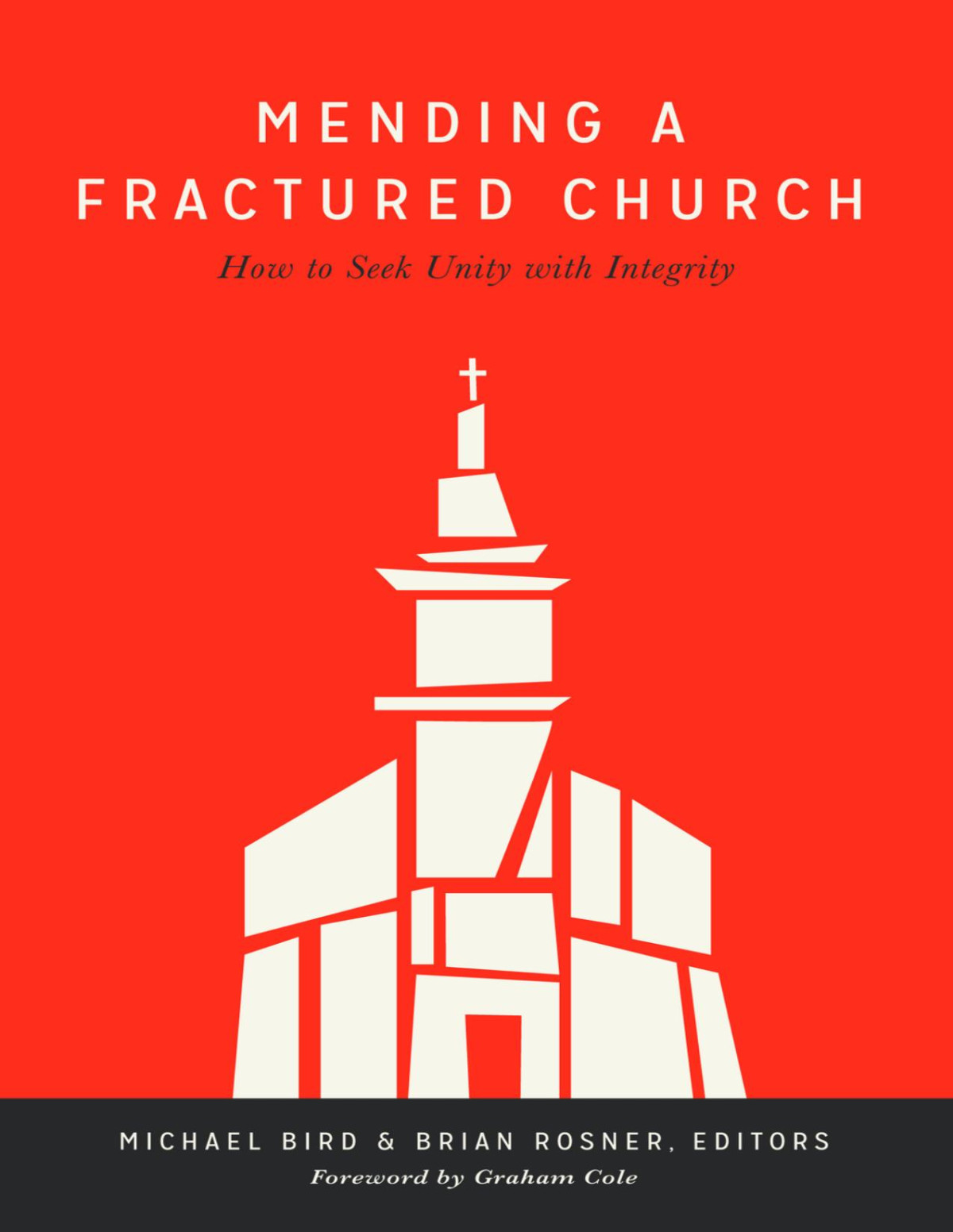 Mending A Fractured Church Bird Michaelrosner Brian Rosner