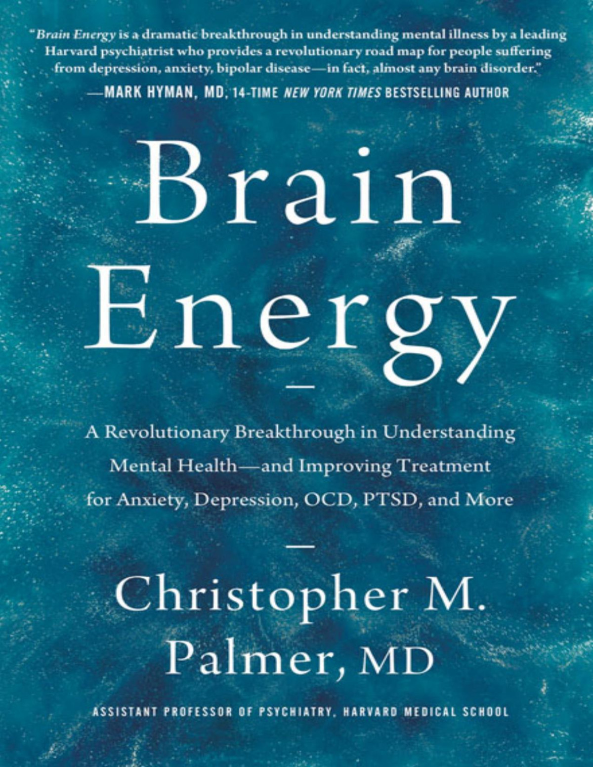 Brain Energy Christopher M Palmer Md