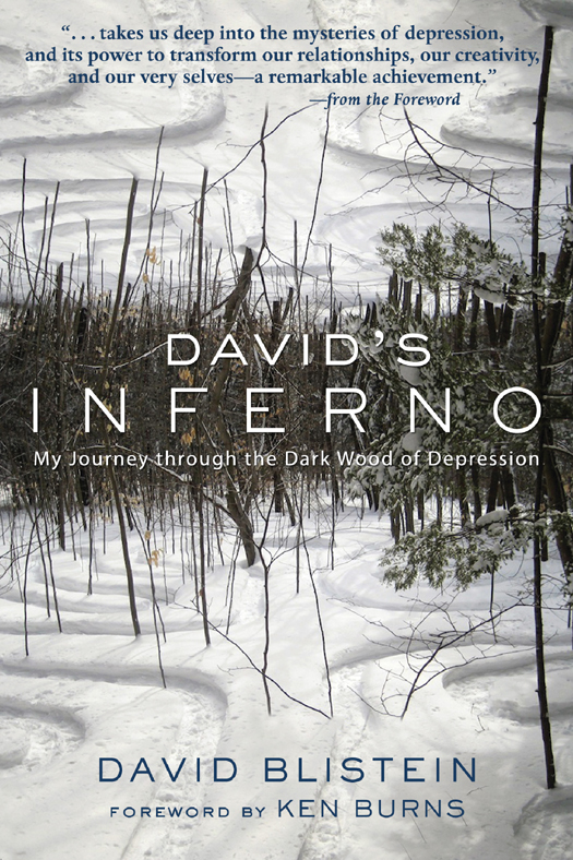Davids Inferno My Journey Through The Dark Wood Of Depression Blistein