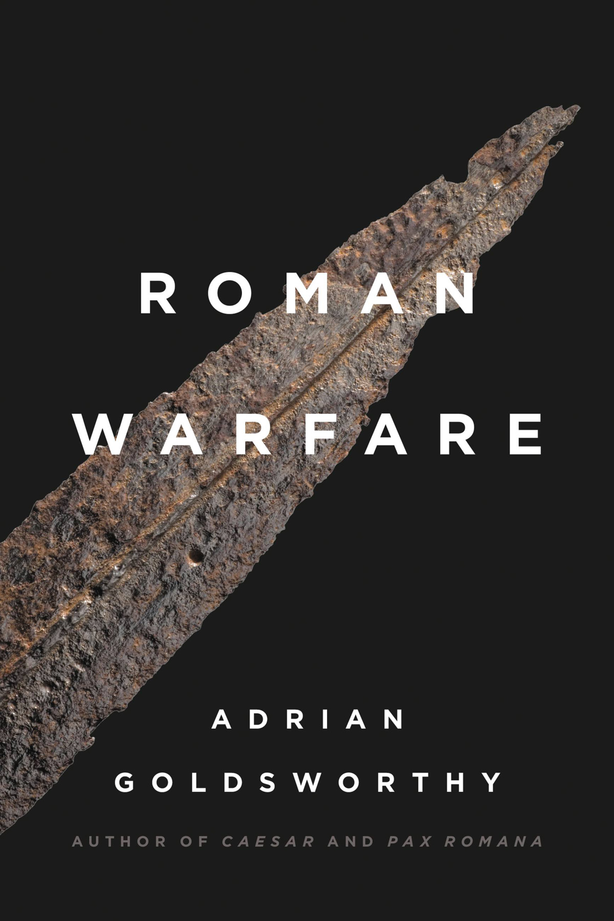 Roman Warfare Adrian Goldsworthy