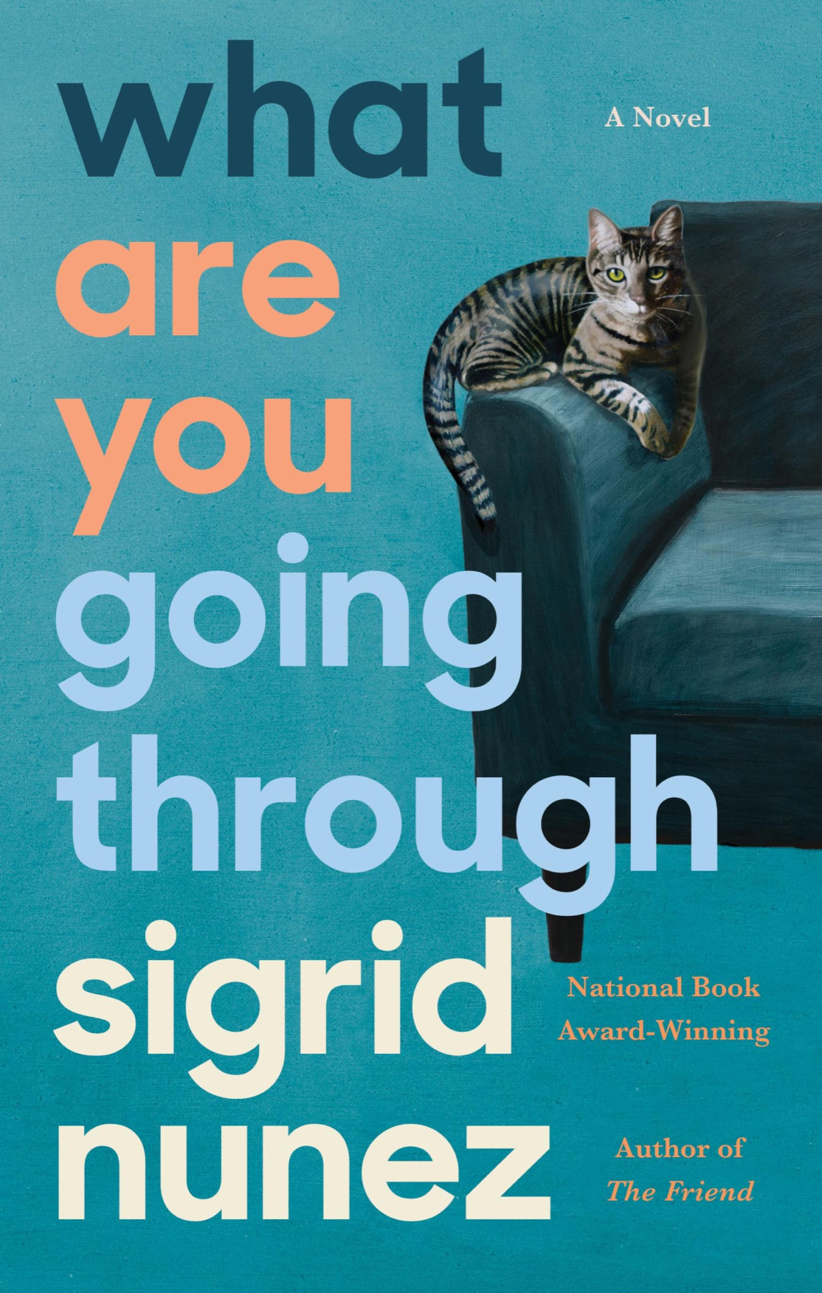 What Are You Going Through Sigrid Nunez