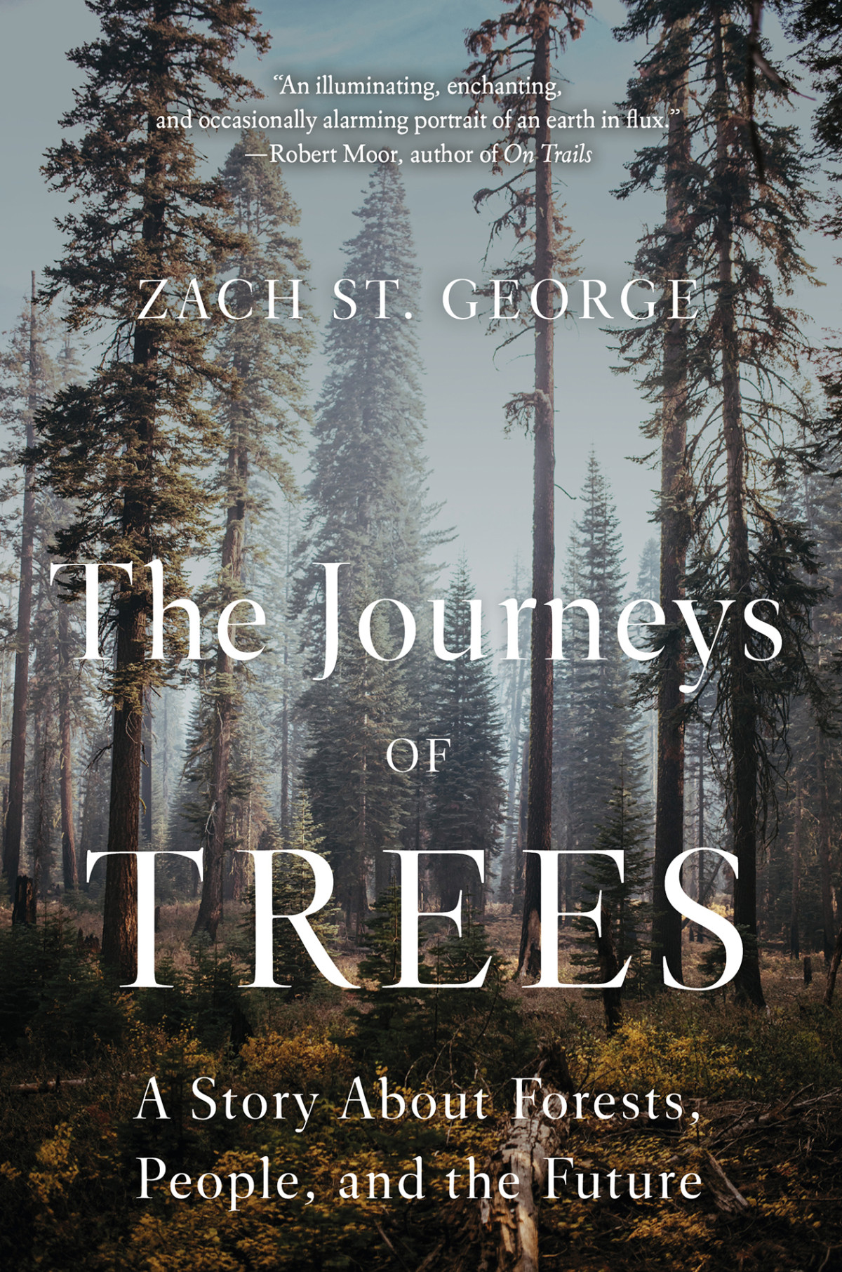 The Journeys Of Trees Zach St George