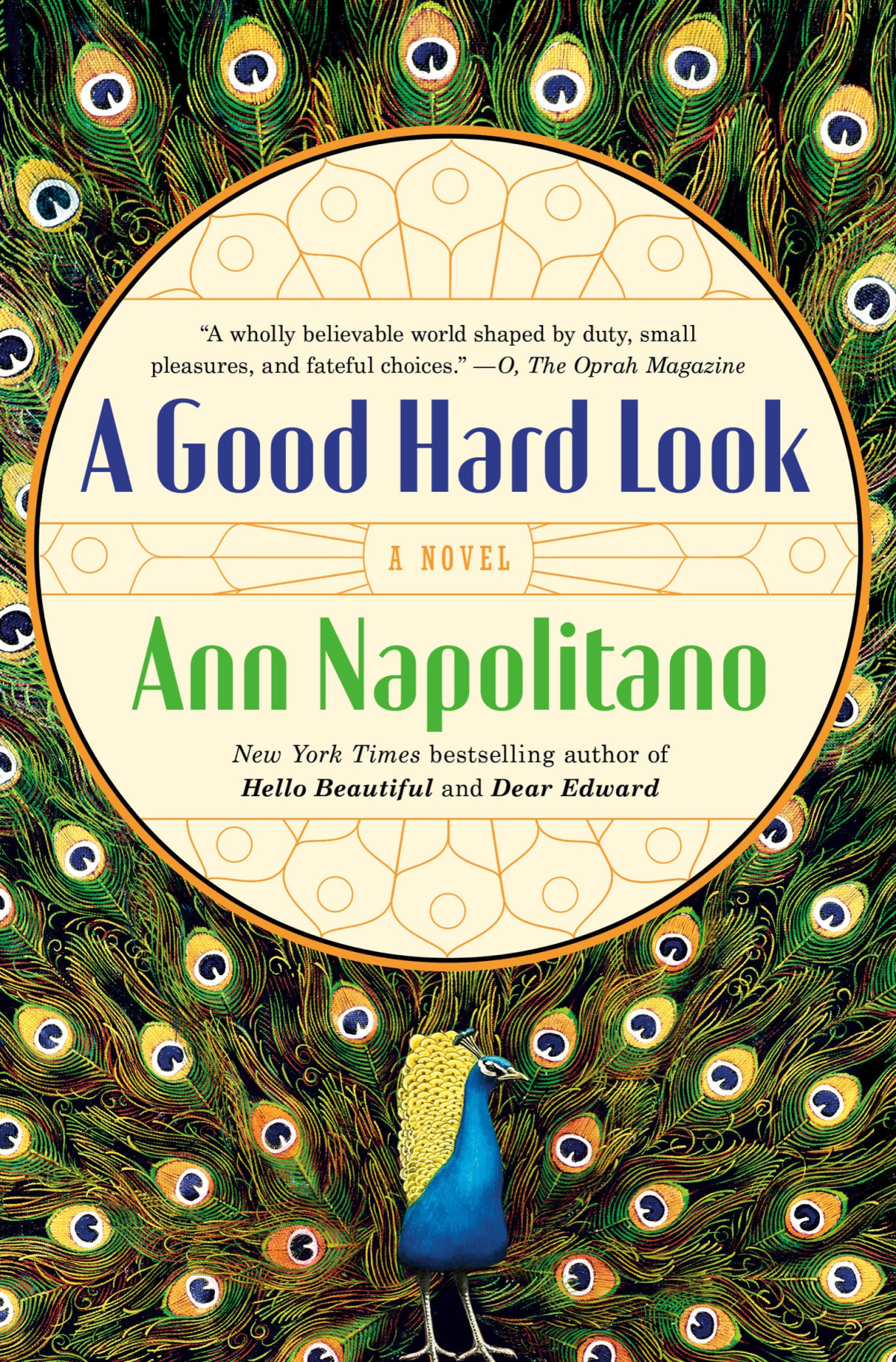A Good Hard Look A Novel Ann Napolitano
