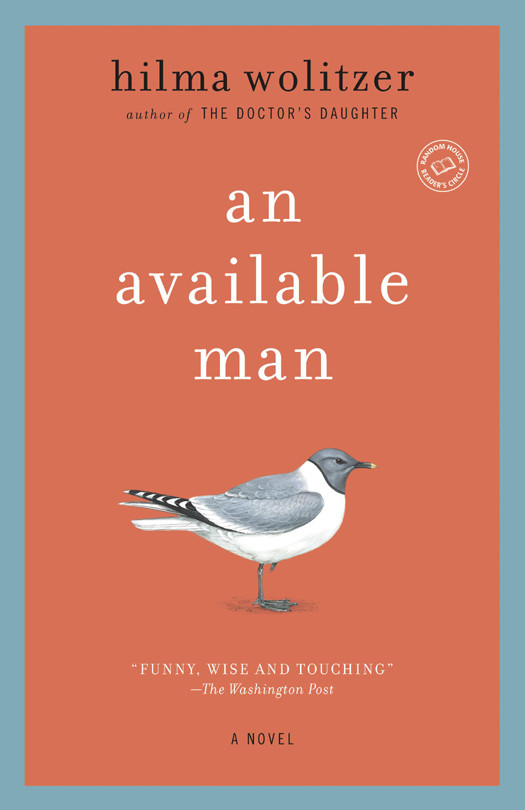 An Available Man Hilma Wolitzer