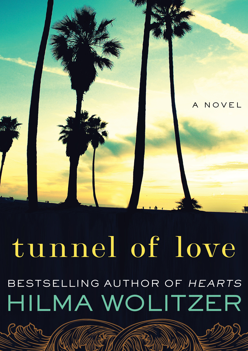 Tunnel Of Love Hilma Wolitzer