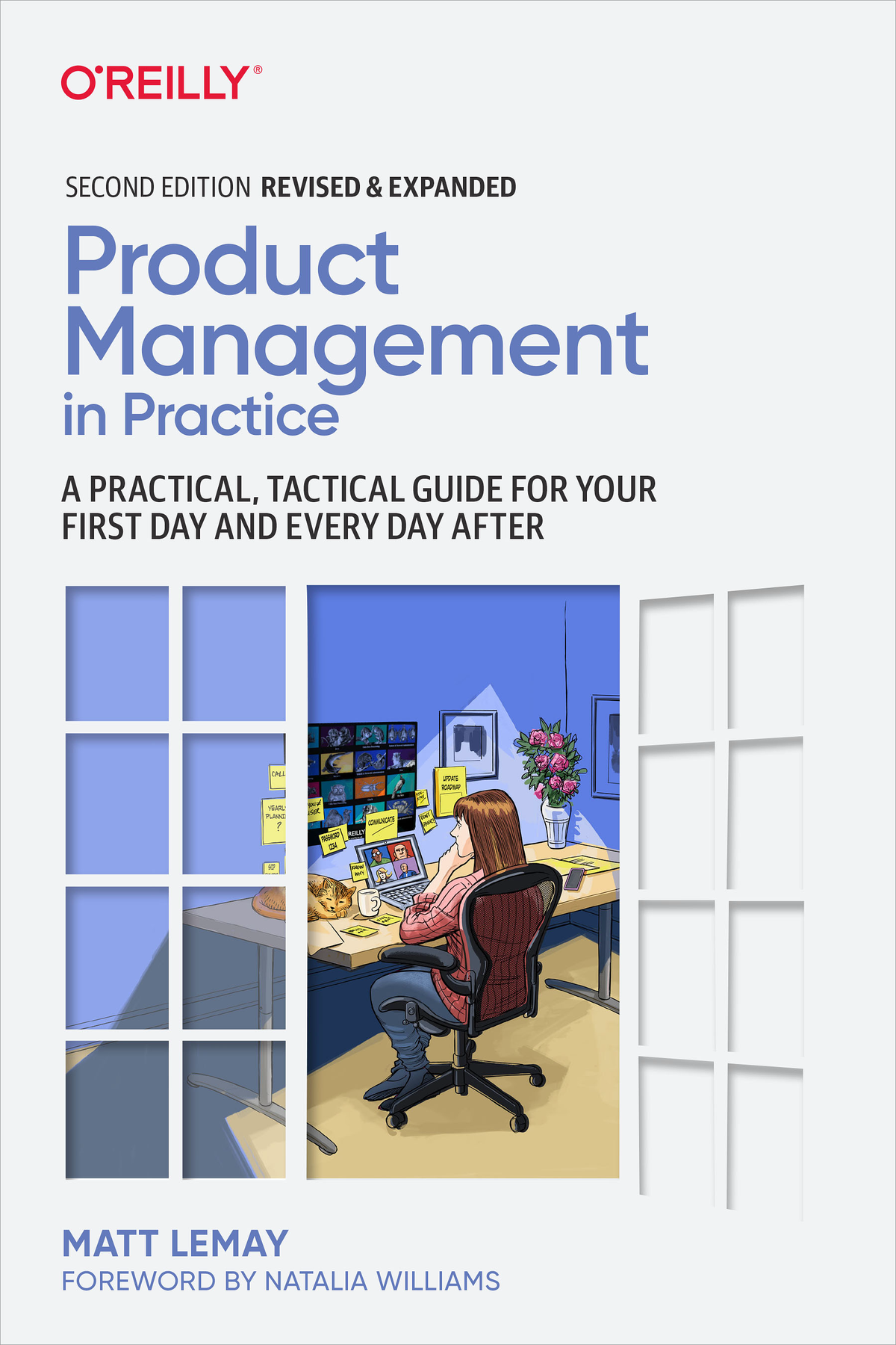 Product Management In Practice Matt Lemay