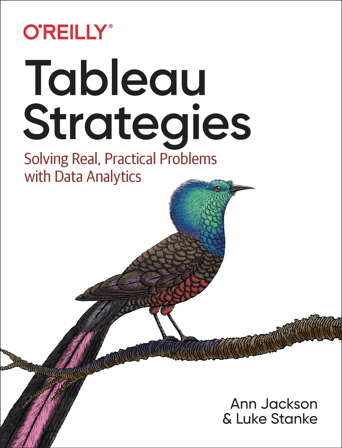 Tableau Strategies Ann Jackson