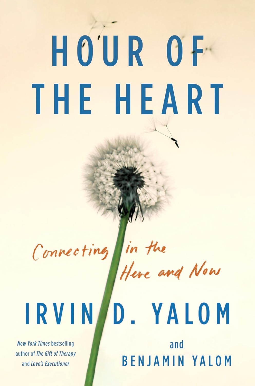 Hour Of The Heart Irvin D Yalom