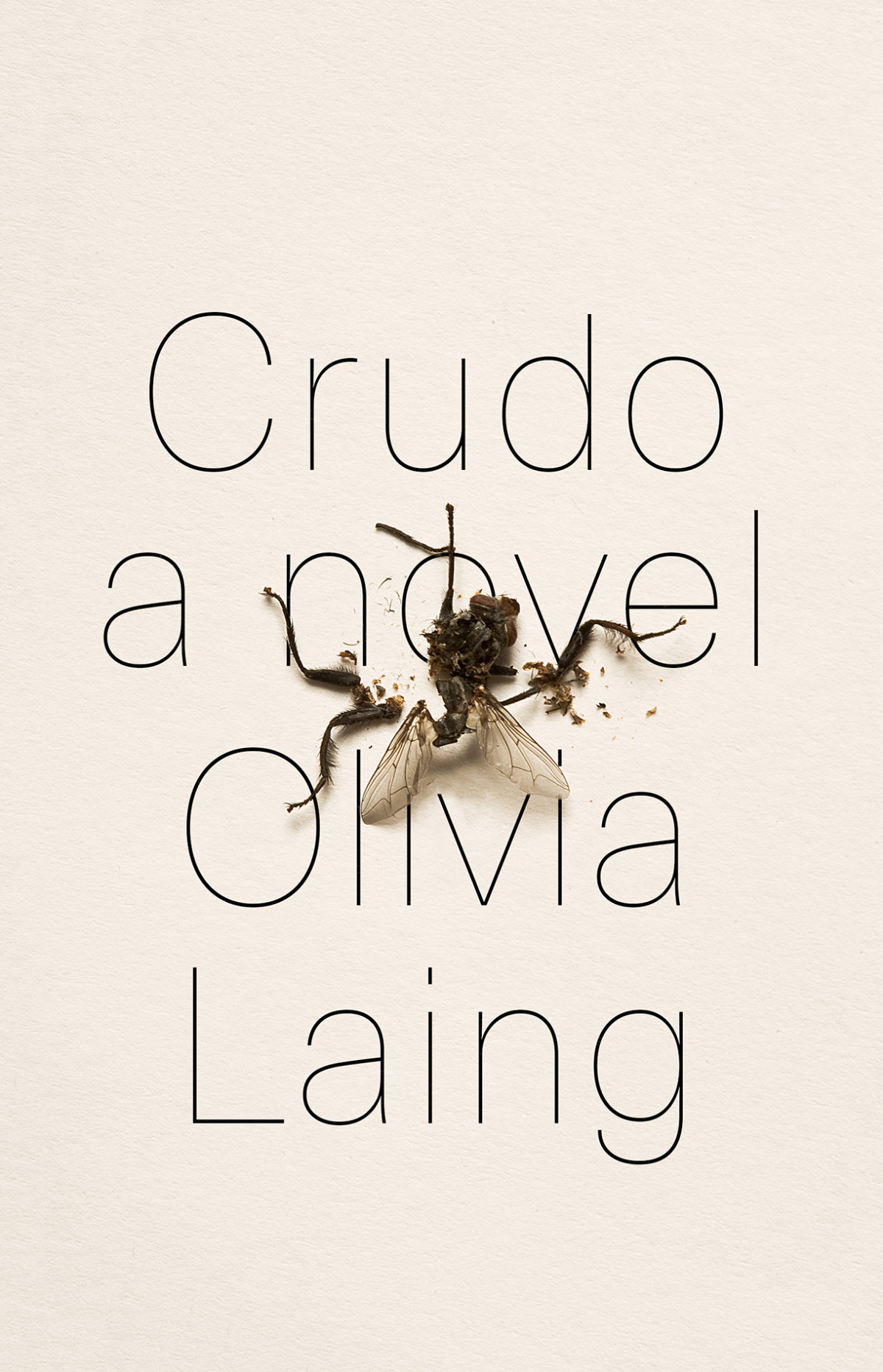 Crudo Olivia Laing