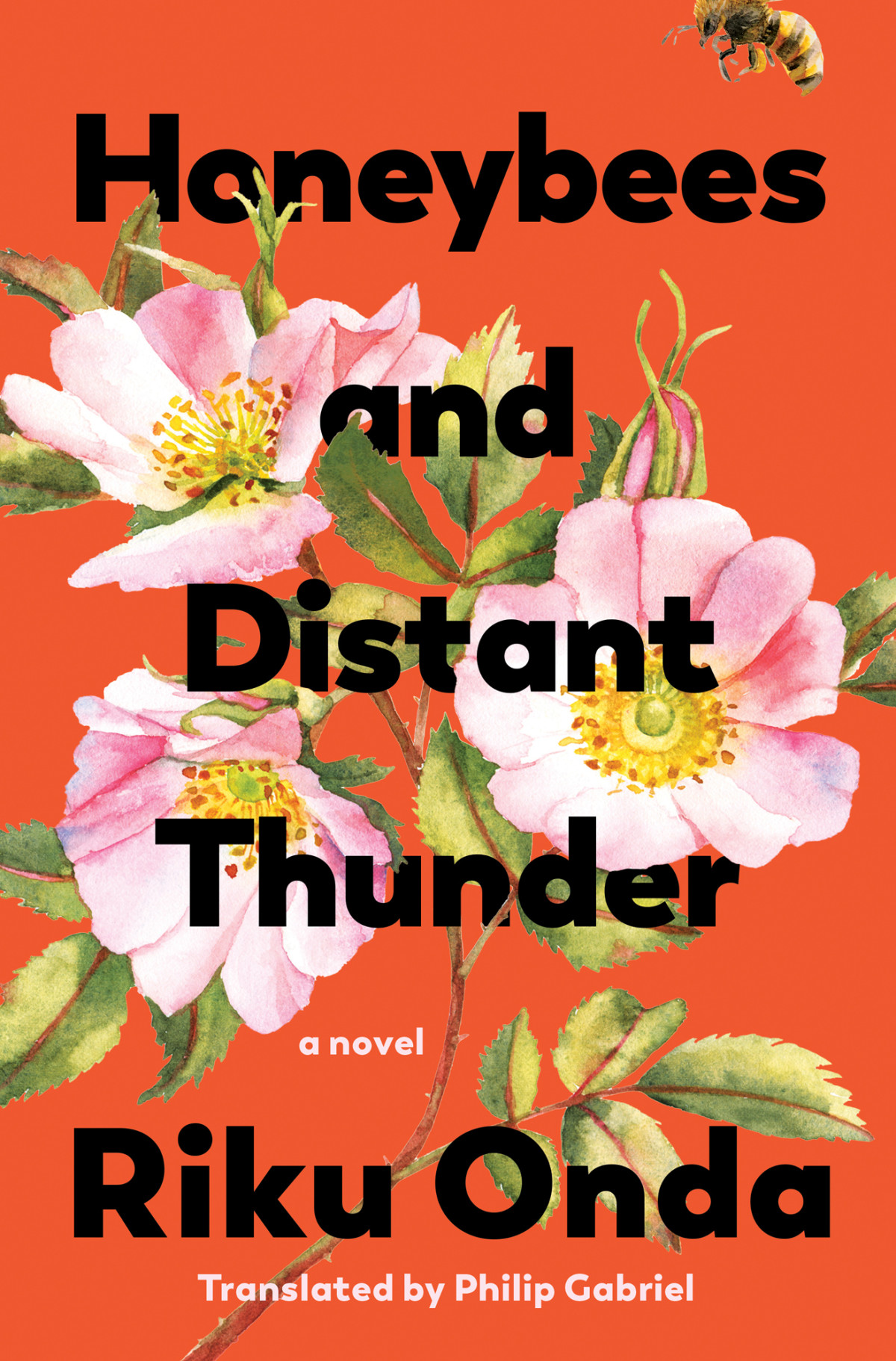 Honeybees And Distant Thunder A Novel Riku Onda
