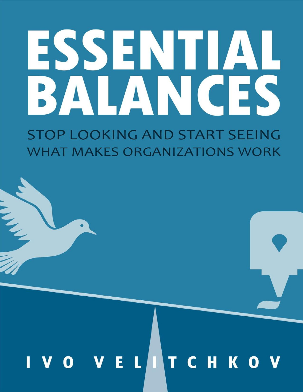 Essential Balances Stop Looking And Start Seeing What Makes Organizations Work Velitchkov