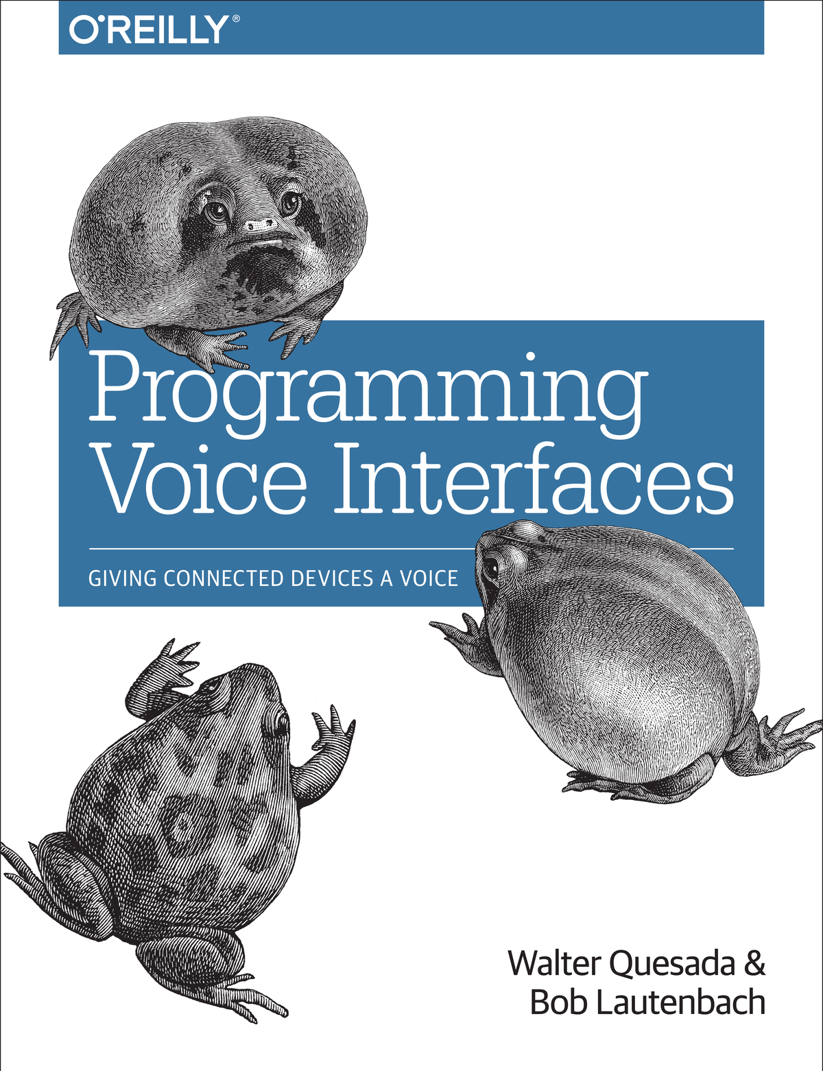 Programming Voice Interfaces Walter Quesada