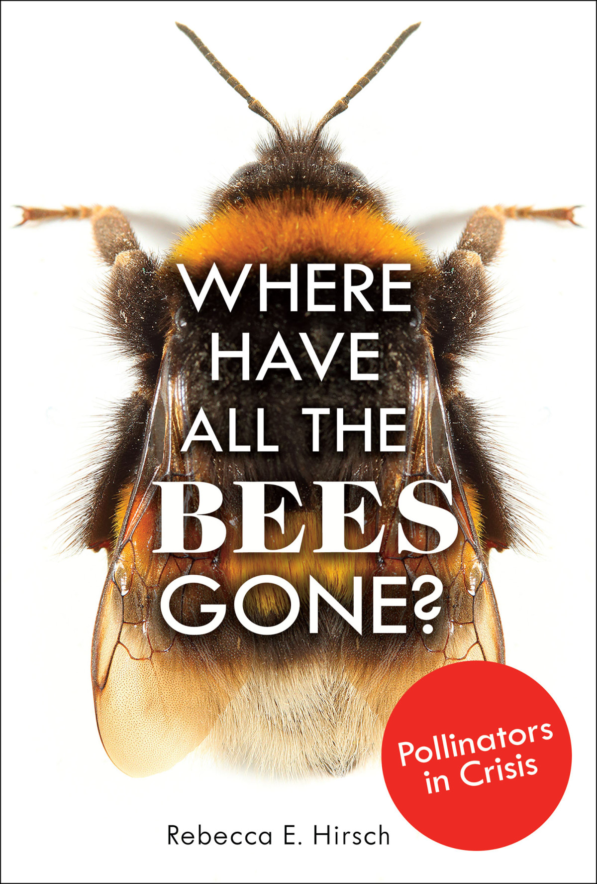 Where Have All The Bees Gone Pollinators In Crisis Rebecca E Hirsch