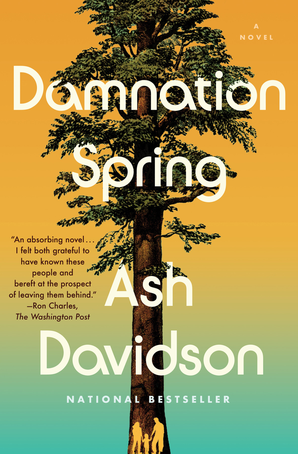 Damnation Spring Ash Davidson