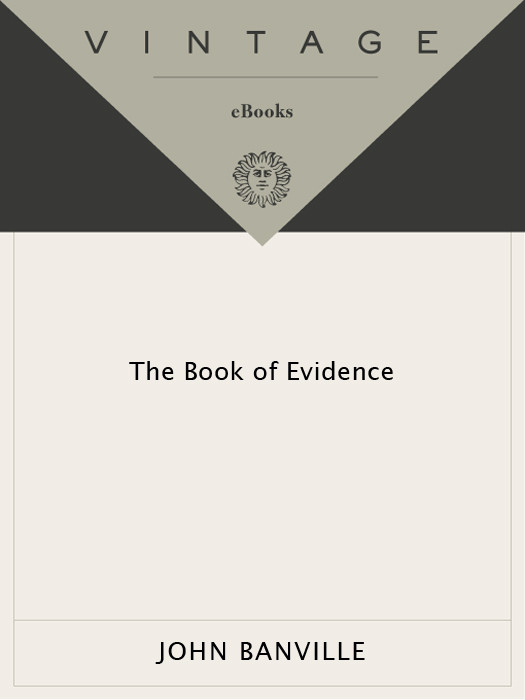 The Book Of Evidence John Banville